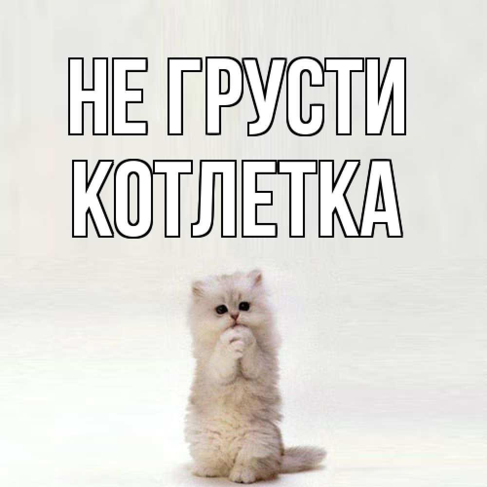 Открытка на каждый день с именем, Котлетка Не грусти грустный кот Прикольная открытка с пожеланием онлайн скачать бесплатно 