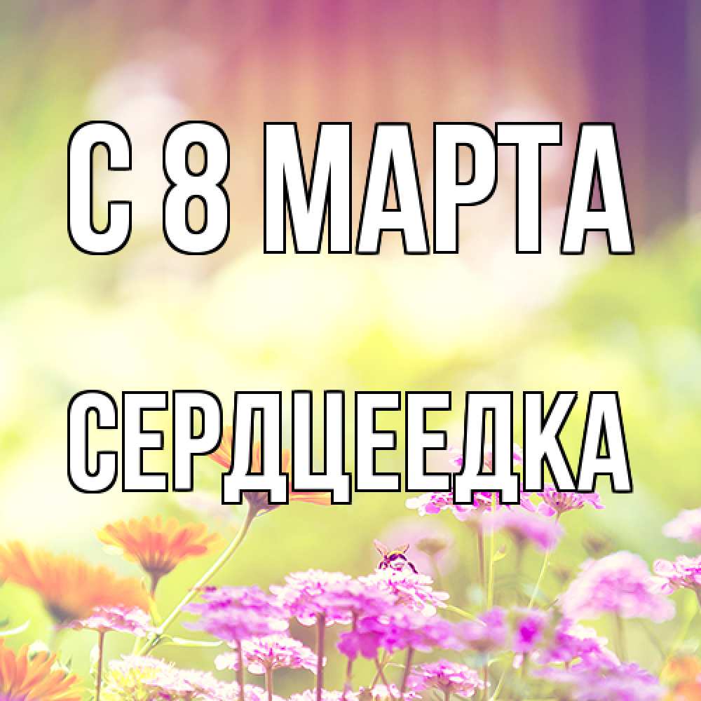 Открытка на каждый день с именем, сердцеедка C 8 МАРТА цветы весна Прикольная открытка с пожеланием онлайн скачать бесплатно 