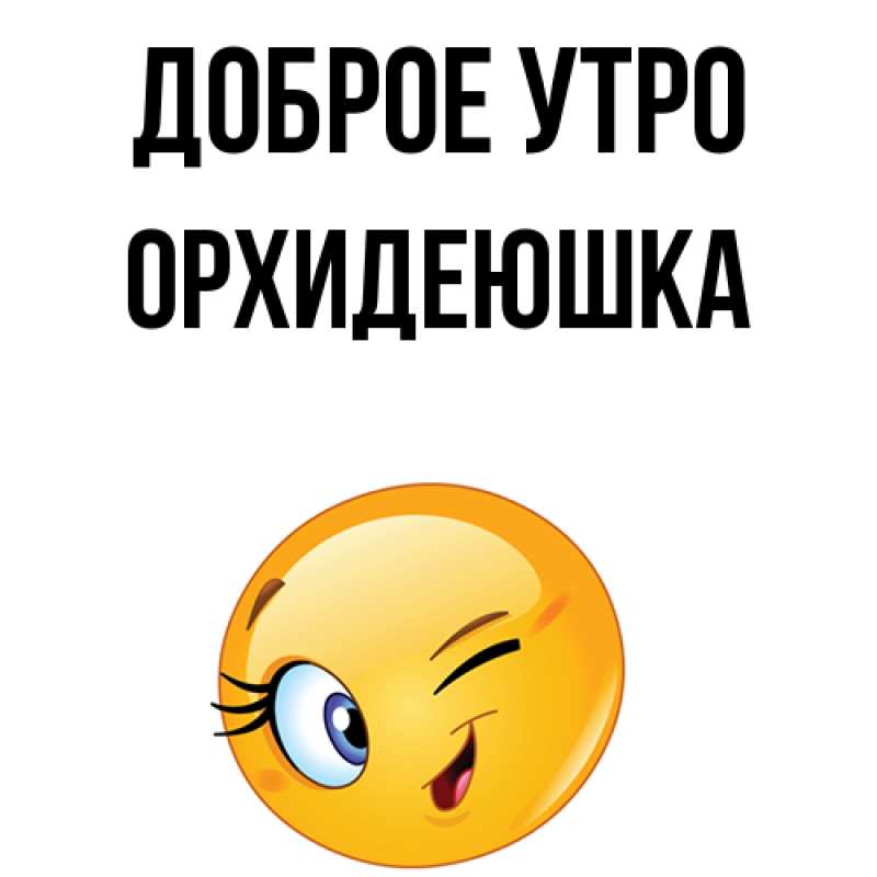 Картинка Доброе утро, Орхидеюшка