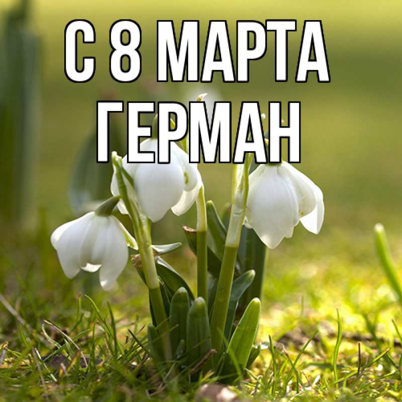 Картинка C 8 МАРТА, Герман