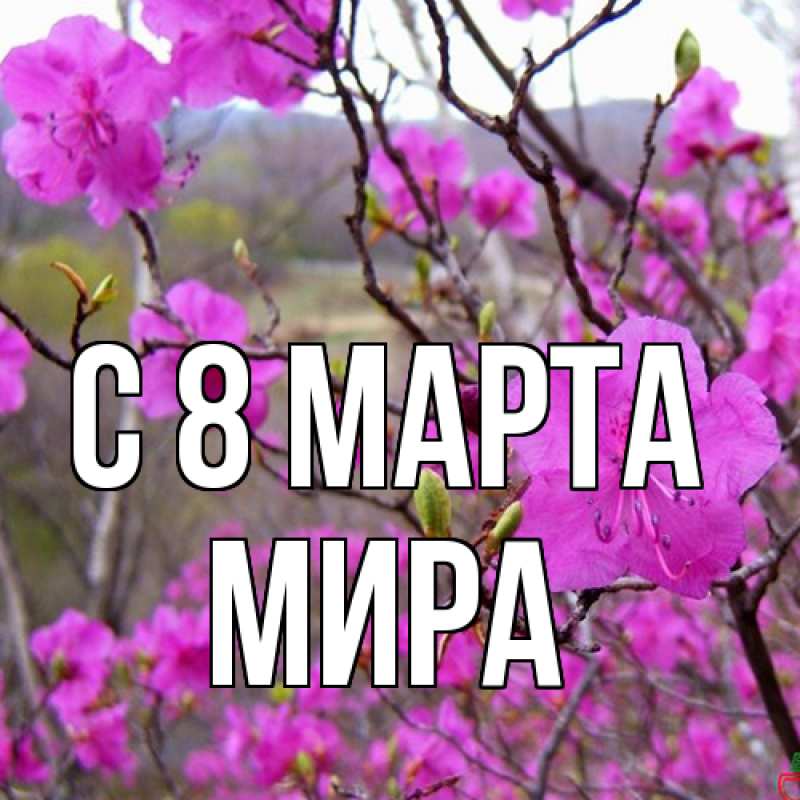 Картинка C 8 МАРТА, Мира