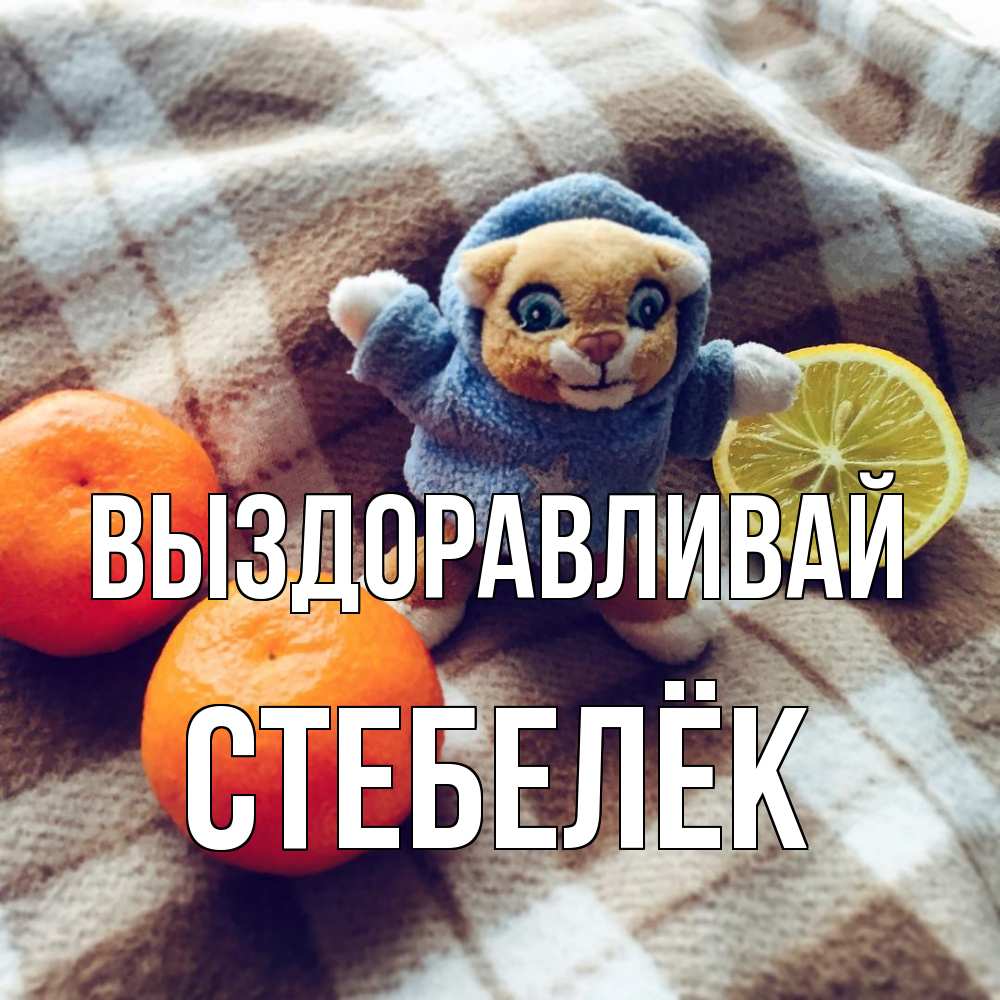 Открытка на каждый день с именем, Стебелёк Выздоравливай вот тебе апельсинка и лимон Прикольная открытка с пожеланием онлайн скачать бесплатно 