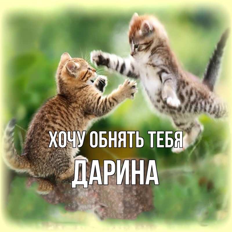 Картинка Хочу обнять тебя, Дарина