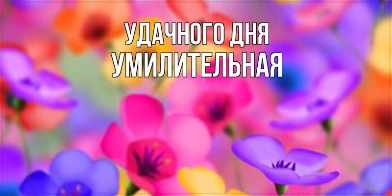 Картинка Удачного дня, умилительная