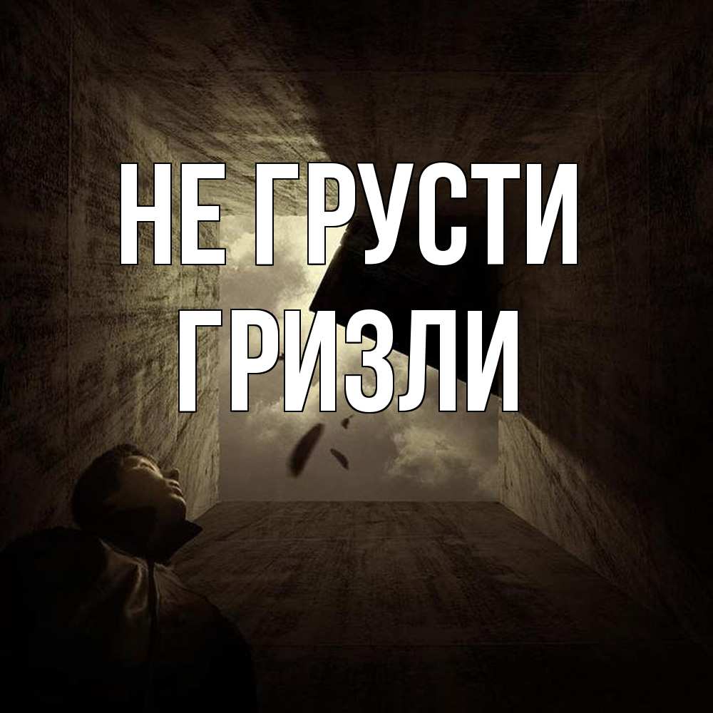 Открытка на каждый день с именем, Гризли Не грусти жуть Прикольная открытка с пожеланием онлайн скачать бесплатно 