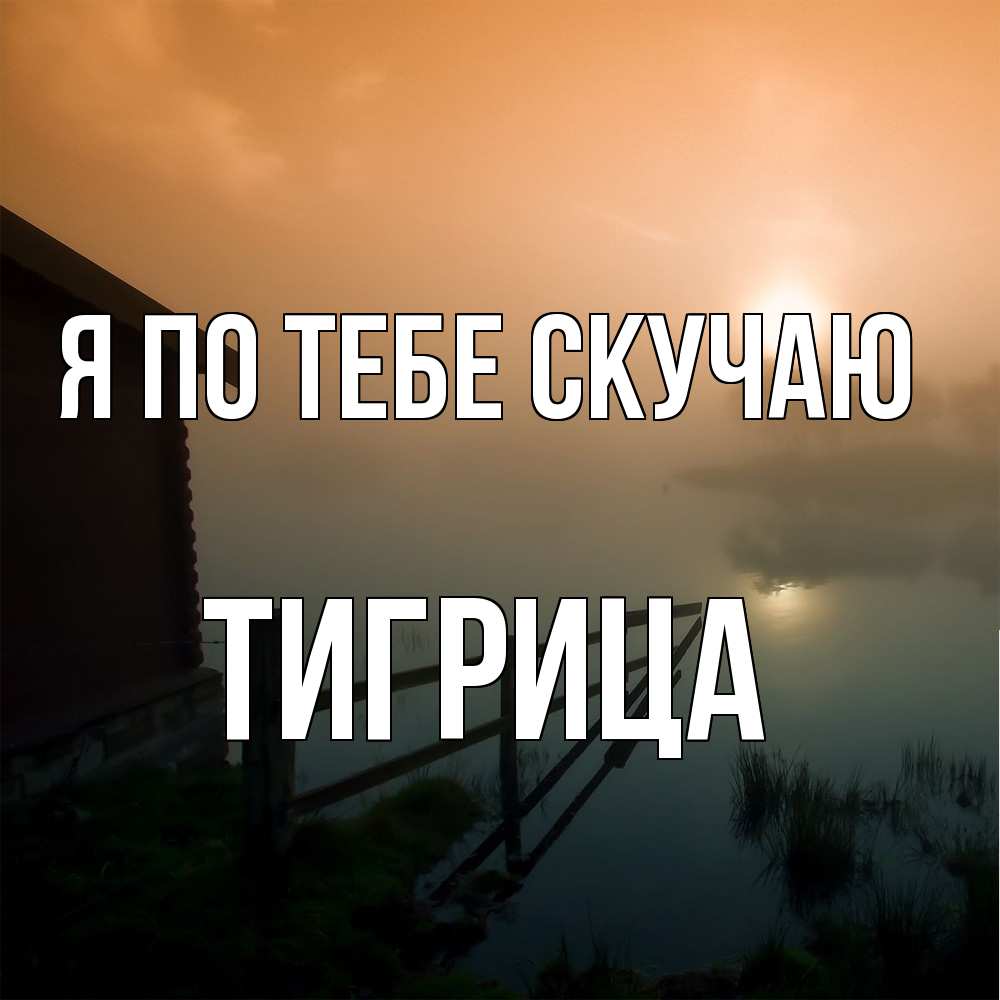 Открытка на каждый день с именем, Тигрица Я по тебе скучаю приходи ко мне на чай Прикольная открытка с пожеланием онлайн скачать бесплатно 