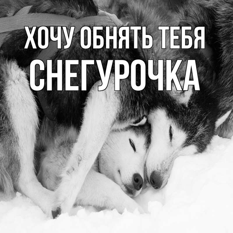 Картинка Хочу обнять тебя, Снегурочка