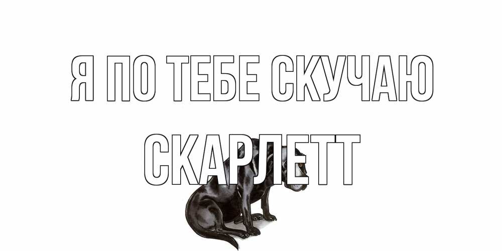 Открытка на каждый день с именем, Скарлетт Я по тебе скучаю я по тебе скучаю открытка с собакой Прикольная открытка с пожеланием онлайн скачать бесплатно 