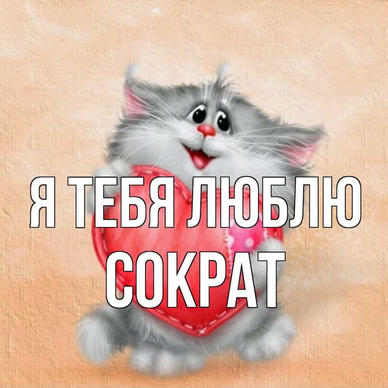 Картинка Я тебя люблю, Сократ