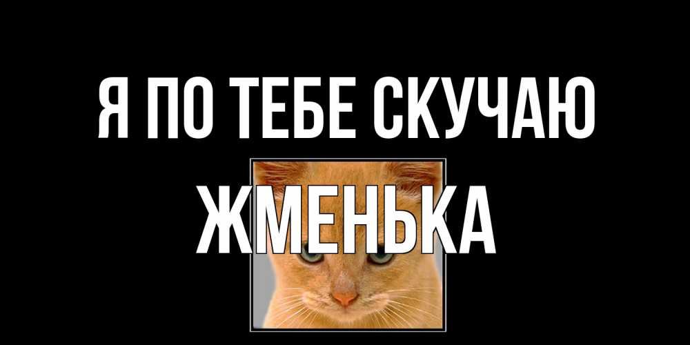 Открытка на каждый день с именем, Жменька Я по тебе скучаю открытки рыжий котенок скучает по тебе Прикольная открытка с пожеланием онлайн скачать бесплатно 