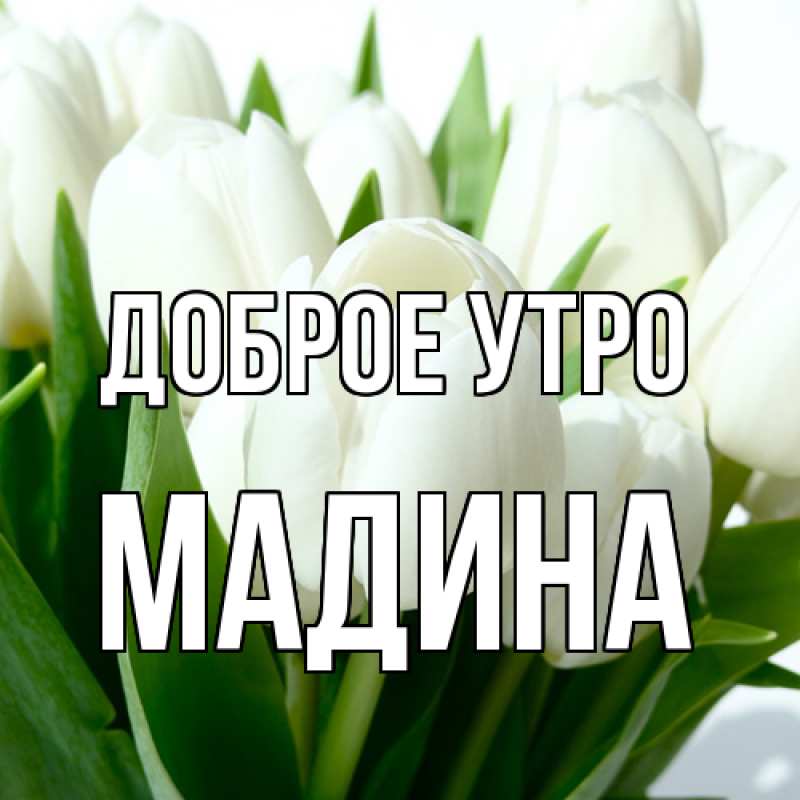 Картинка Доброе утро, Мадина