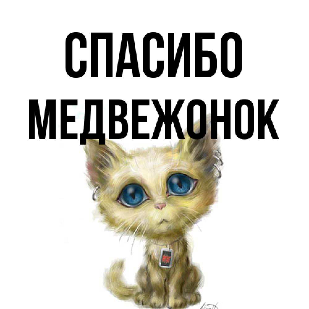 Открытка на каждый день с именем, медвежонок Спасибо рисованный кот благодарит вас Прикольная открытка с пожеланием онлайн скачать бесплатно 