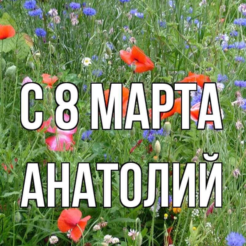 Картинка C 8 МАРТА, Анатолий
