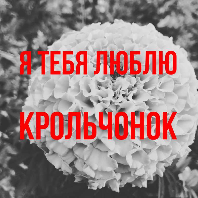 Картинка Я тебя люблю, Крольчонок