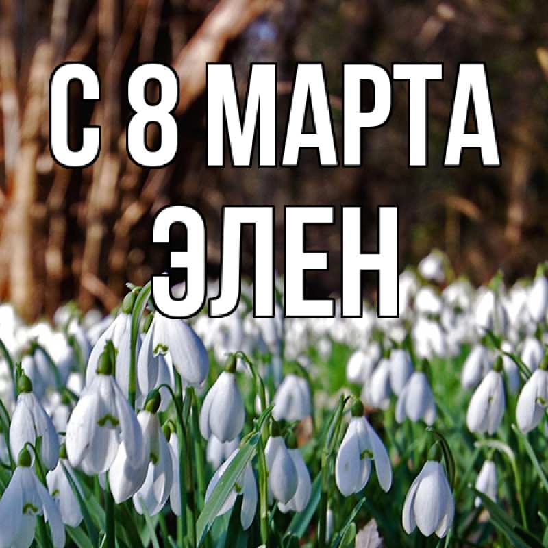 Картинка C 8 МАРТА, Элен