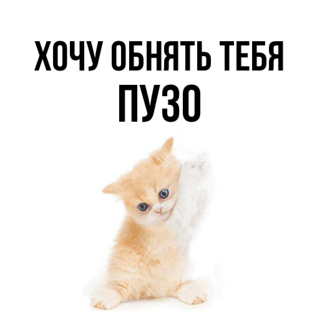 Открытка на каждый день с именем, Пузо Хочу обнять тебя я хочу очень скорее обнимаешек Прикольная открытка с пожеланием онлайн скачать бесплатно 