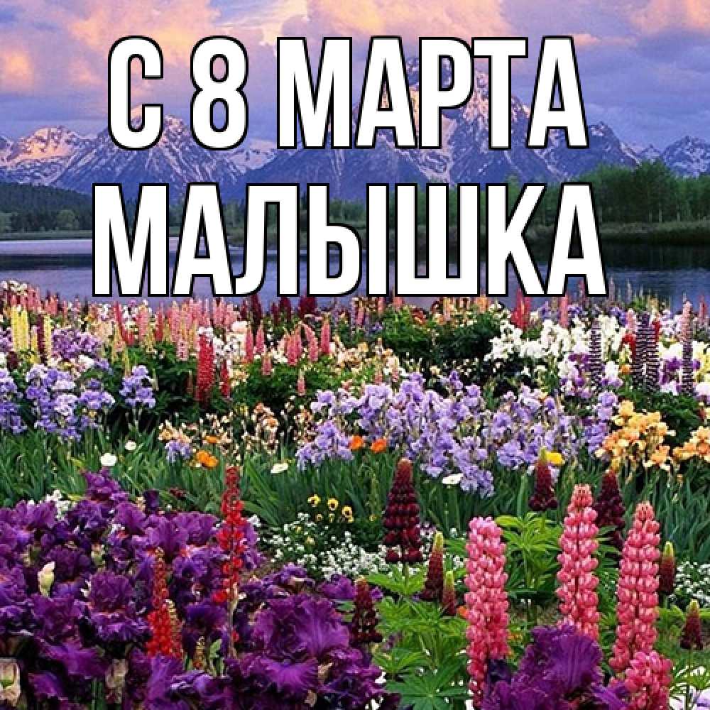 Открытка на каждый день с именем, малышка C 8 МАРТА международный женский день Прикольная открытка с пожеланием онлайн скачать бесплатно 