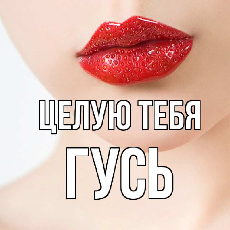 Картинка Целую тебя, Гусь