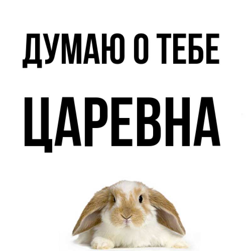 Картинка Думаю о тебе, царевна