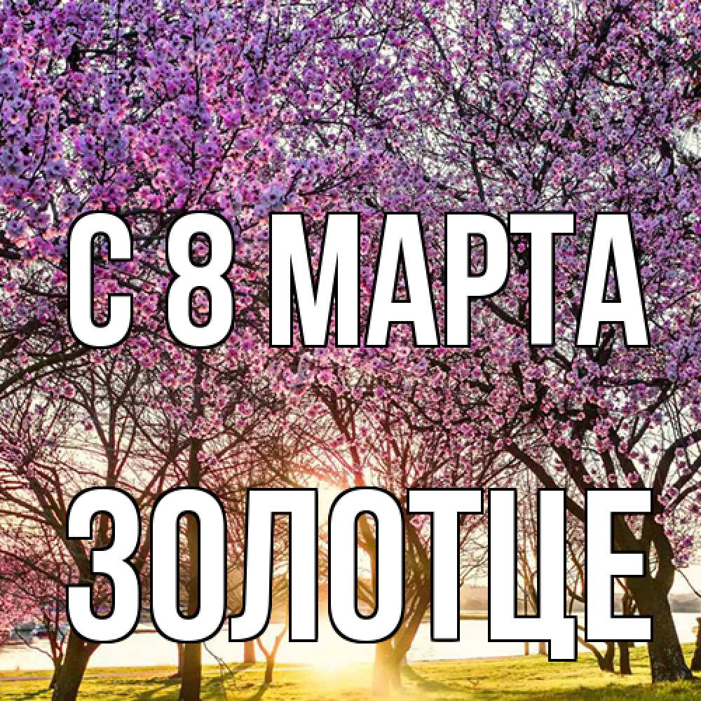 Открытка на каждый день с именем, Золотце C 8 МАРТА международный женский день Прикольная открытка с пожеланием онлайн скачать бесплатно 