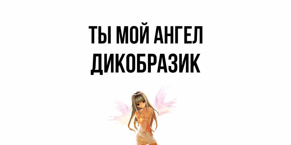 Открытка на каждый день с именем, дикобразик Ты мой ангел ангел, аниме Прикольная открытка с пожеланием онлайн скачать бесплатно 