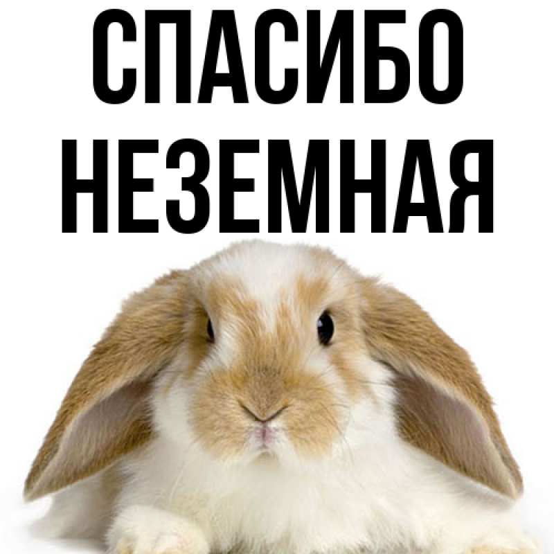 Картинка Спасибо, неземная