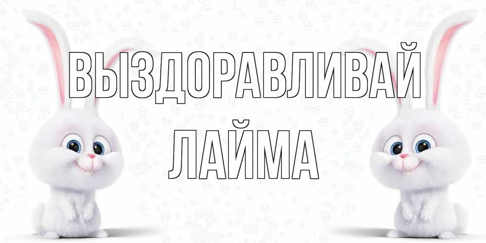Открытка на каждый день с именем, Лайма Выздоравливай не болей с зайцем Прикольная открытка с пожеланием онлайн скачать бесплатно 