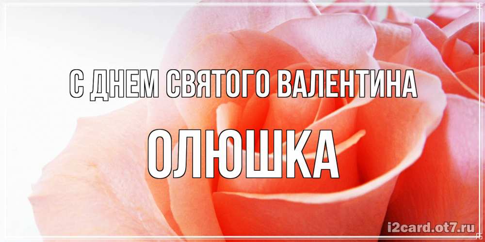 Открытка на каждый день с именем, Олюшка С днем Святого Валентина открытка на день Святого Валентина с розовой розой Прикольная открытка с пожеланием онлайн скачать бесплатно 