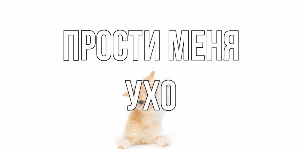 Открытка на каждый день с именем, Ухо Прости меня кот Прикольная открытка с пожеланием онлайн скачать бесплатно 