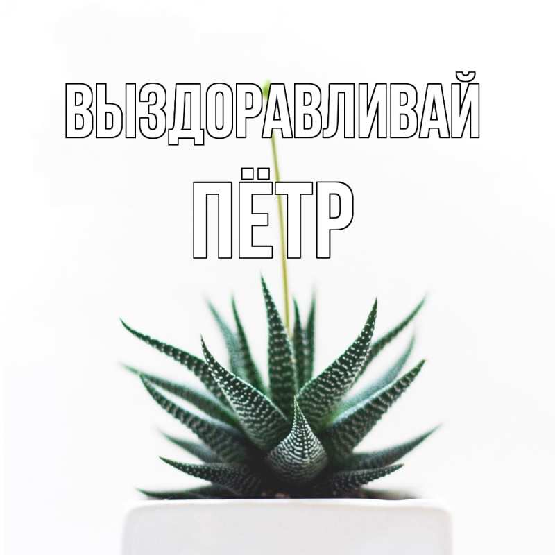 Картинка Выздоравливай, Пётр