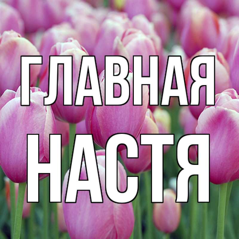 Картинка  с именем , настя