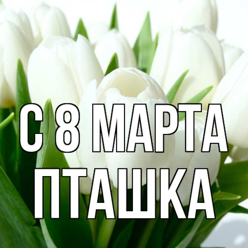 Картинка C 8 МАРТА, пташка