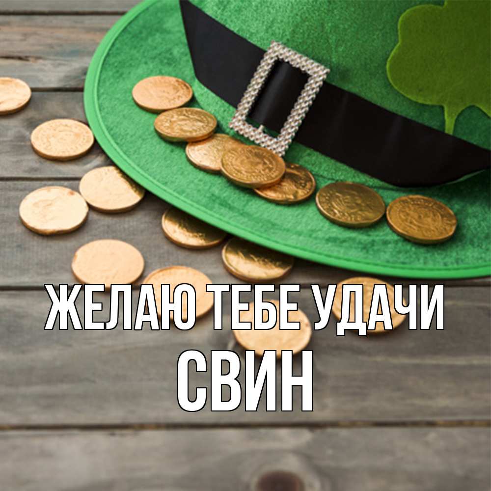 Открытка на каждый день с именем, Свин Желаю тебе удачи монеты Прикольная открытка с пожеланием онлайн скачать бесплатно 