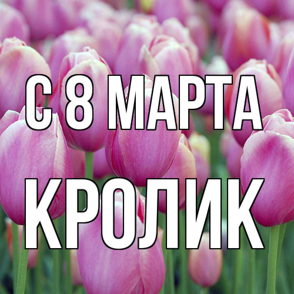 Открытка на каждый день с именем, кролик C 8 МАРТА на международный женский день 3 Прикольная открытка с пожеланием онлайн скачать бесплатно 