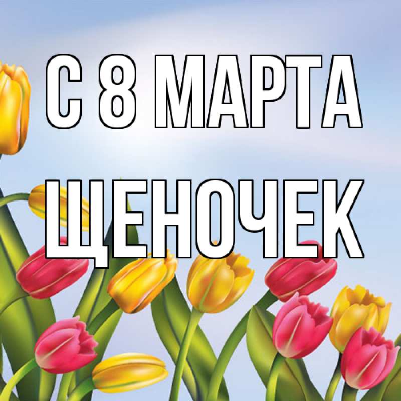 Картинка C 8 МАРТА, Щеночек