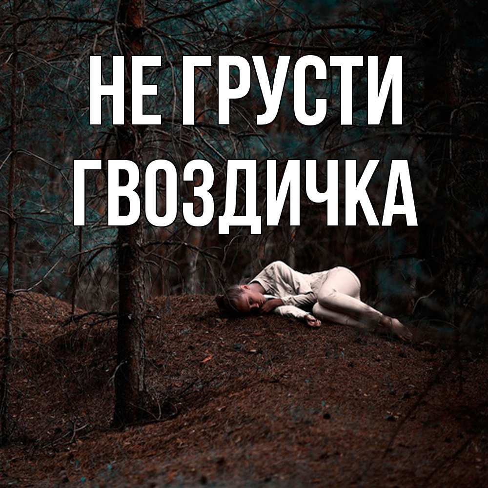 Открытка на каждый день с именем, Гвоздичка Не грусти лес Прикольная открытка с пожеланием онлайн скачать бесплатно 