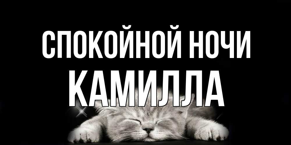 Открытка на каждый день с именем, Камилла Спокойной ночи спящий котик Прикольная открытка с пожеланием онлайн скачать бесплатно 