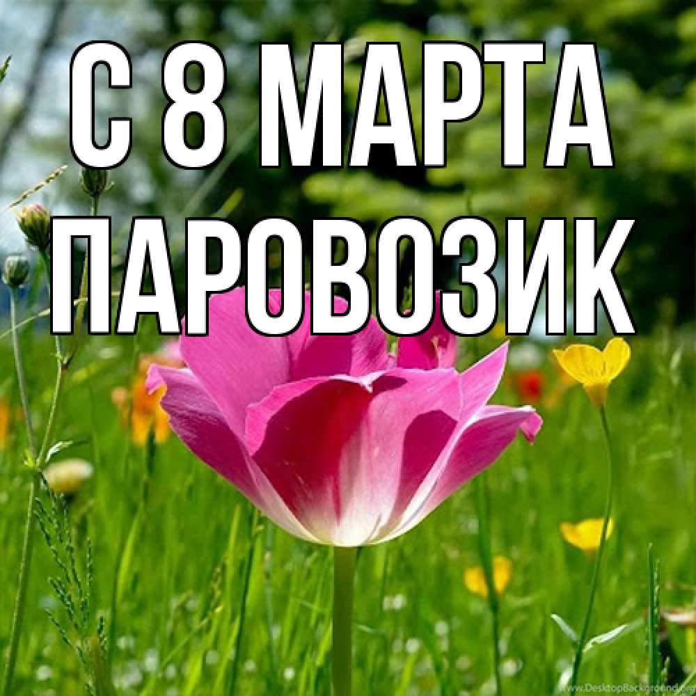 Открытка на каждый день с именем, паровозик C 8 МАРТА полевые цветы Прикольная открытка с пожеланием онлайн скачать бесплатно 