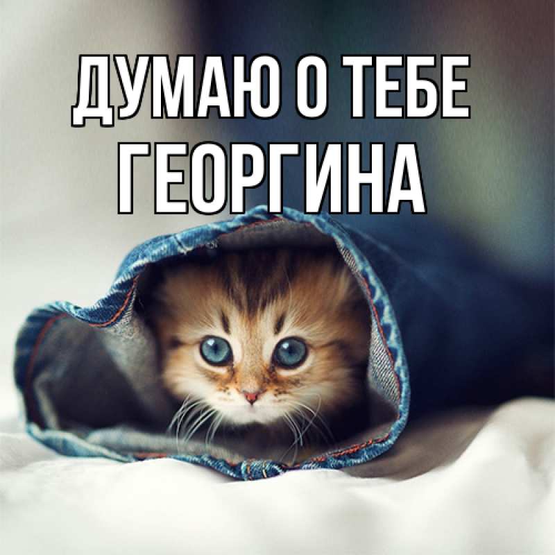 Картинка Думаю о тебе, Георгина