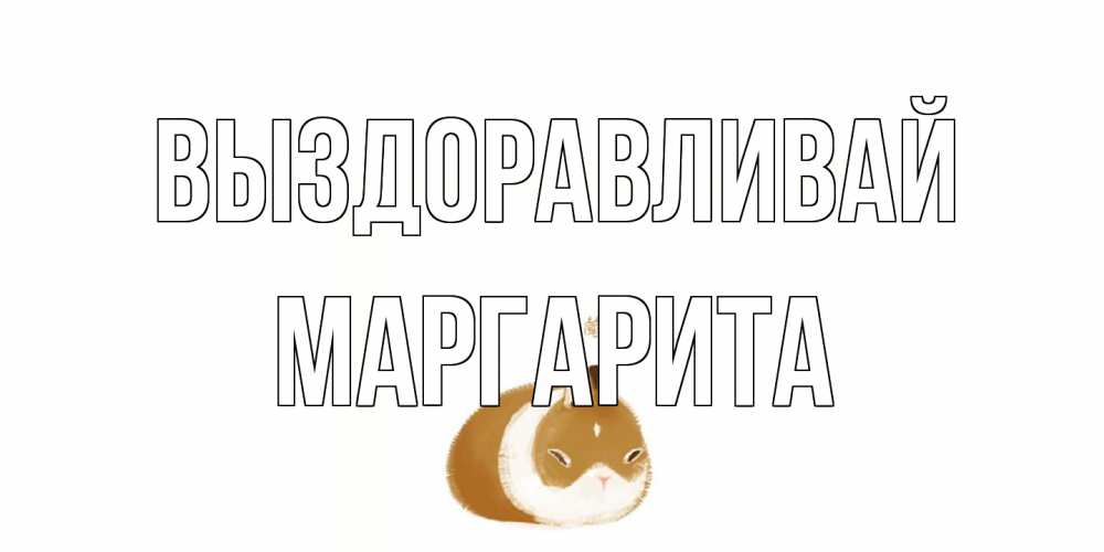 Открытка на каждый день с именем, Маргарита Выздоравливай морская свинка на открытке с пожеланиями не болеть Прикольная открытка с пожеланием онлайн скачать бесплатно 