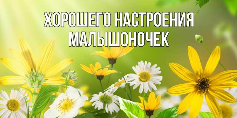 Картинка Хорошего настроения, Малышоночек