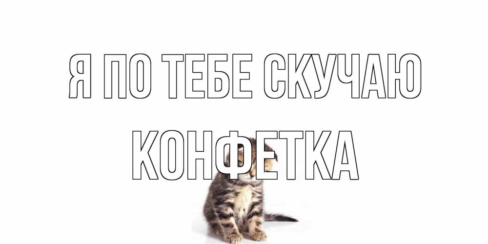 Открытка на каждый день с именем, Конфетка Я по тебе скучаю кот Прикольная открытка с пожеланием онлайн скачать бесплатно 