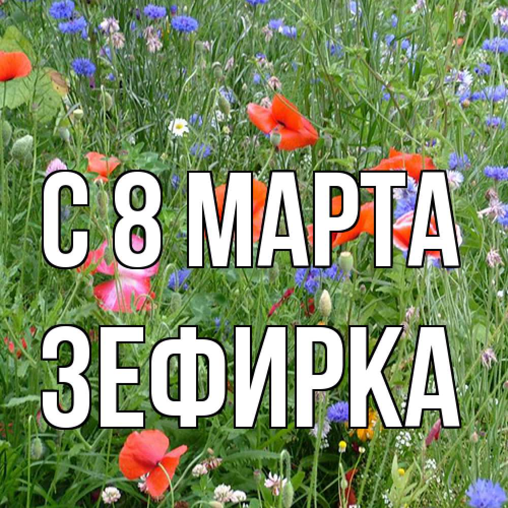Открытка на каждый день с именем, зефирка C 8 МАРТА международный женский день 4 Прикольная открытка с пожеланием онлайн скачать бесплатно 