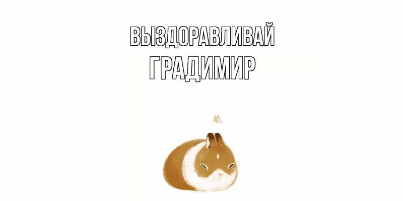 Картинка Выздоравливай, Градимир