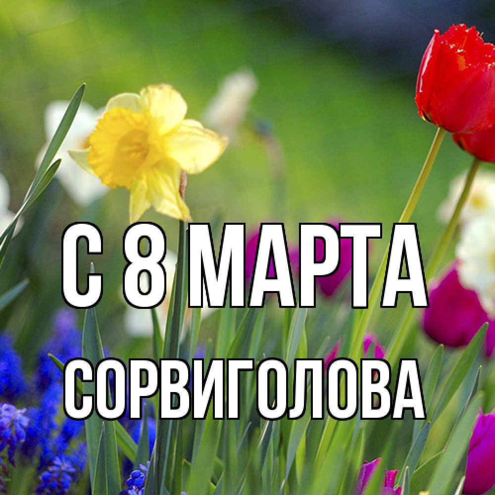 Открытка на каждый день с именем, Сорвиголова C 8 МАРТА международный женский день 3 Прикольная открытка с пожеланием онлайн скачать бесплатно 