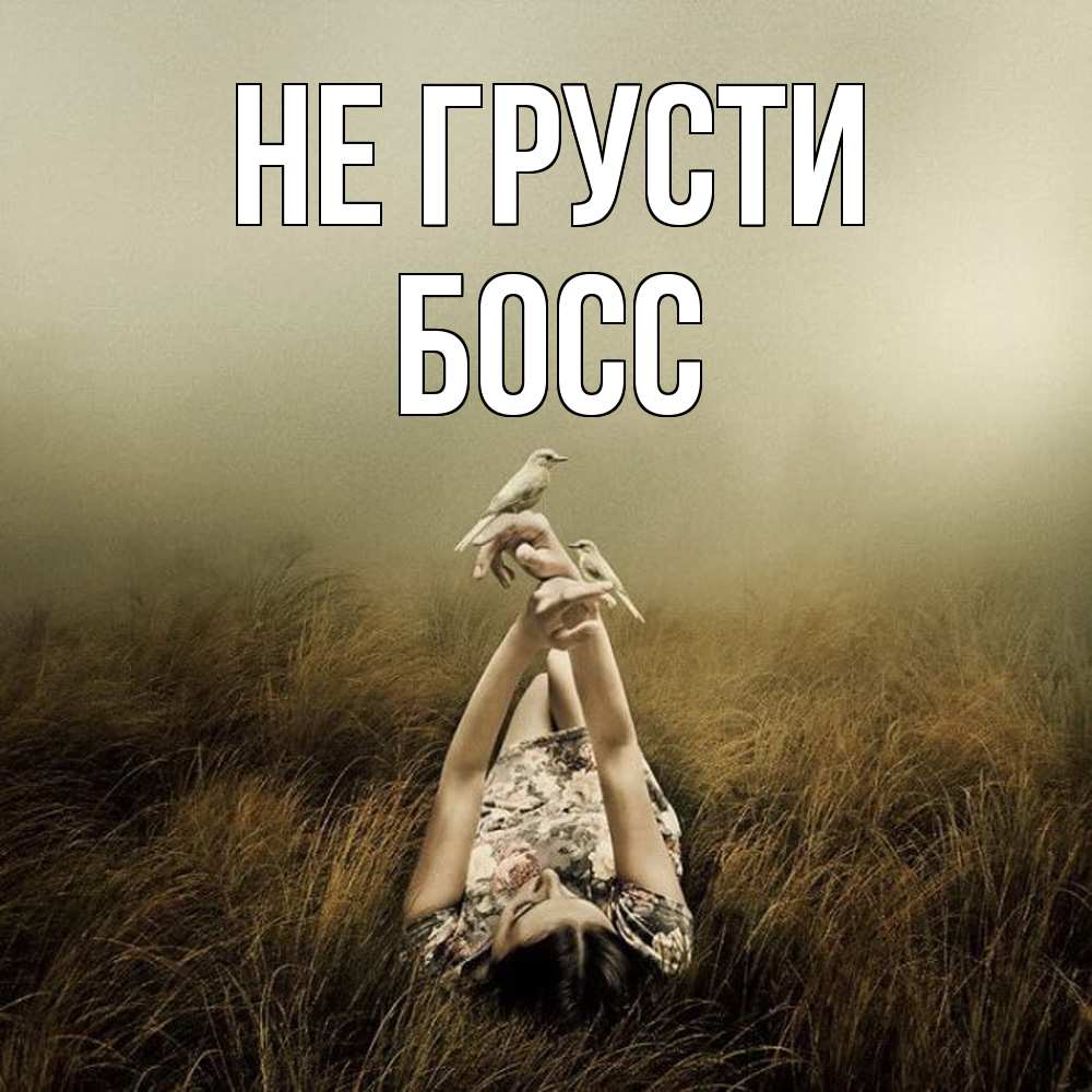 Открытка на каждый день с именем, Босс Не грусти поле и туман Прикольная открытка с пожеланием онлайн скачать бесплатно 