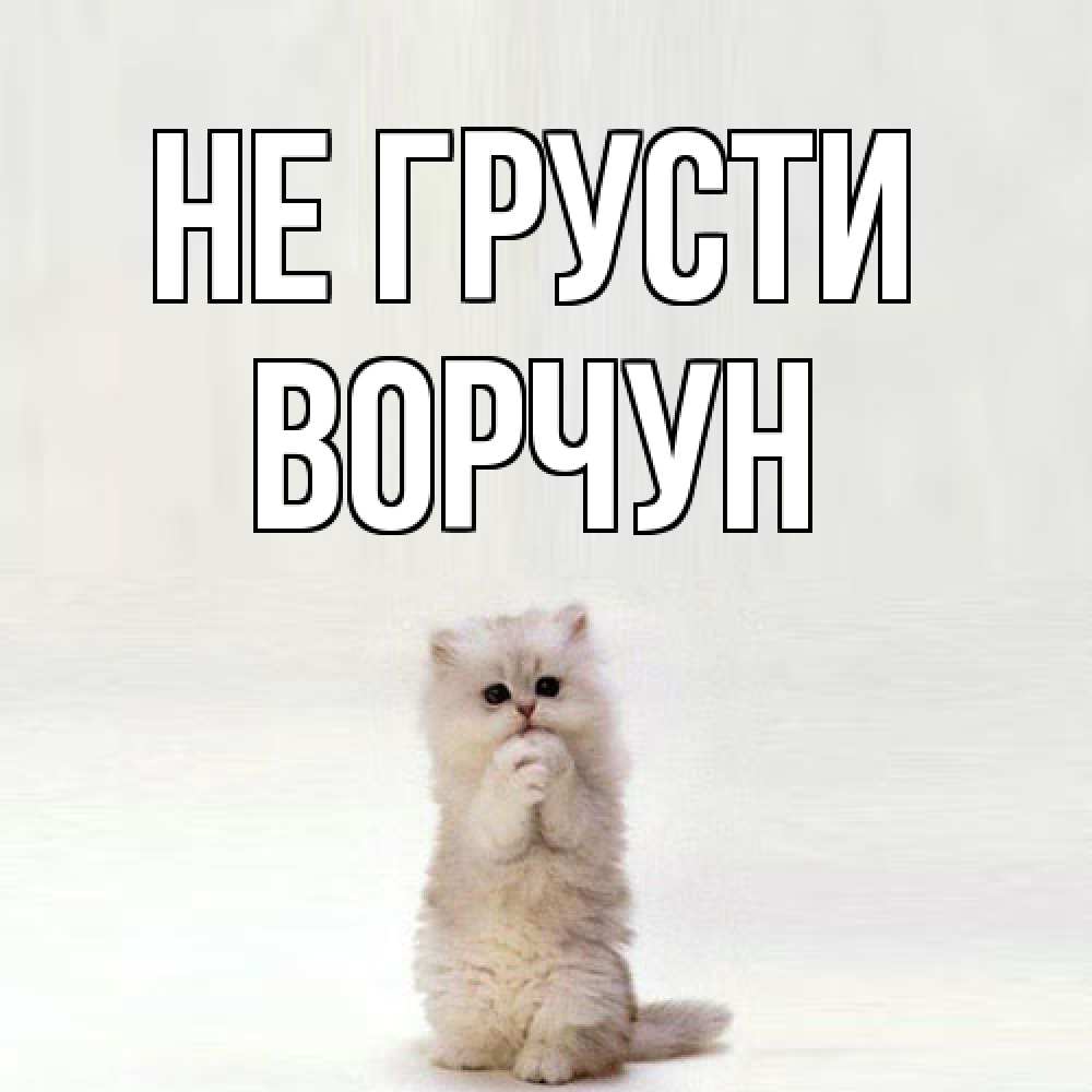 Открытка на каждый день с именем, Ворчун Не грусти грустный кот Прикольная открытка с пожеланием онлайн скачать бесплатно 