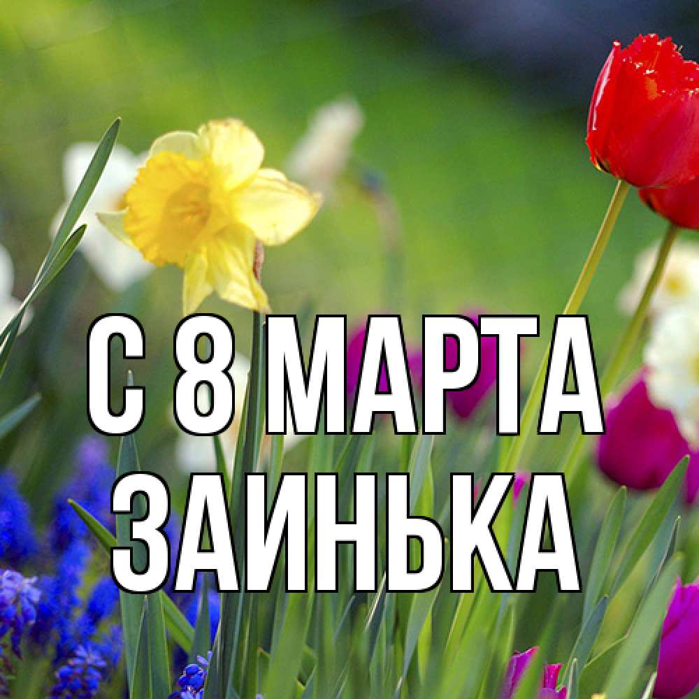 Открытка на каждый день с именем, Заинька C 8 МАРТА международный женский день 3 Прикольная открытка с пожеланием онлайн скачать бесплатно 