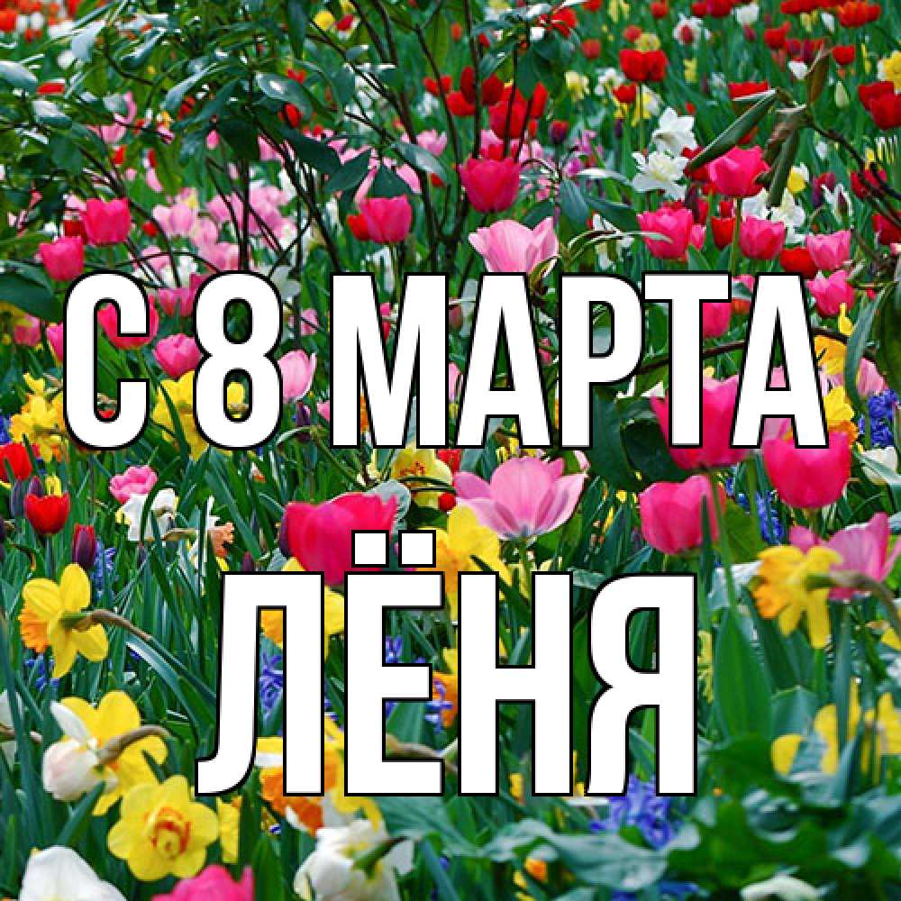 Открытка на каждый день с именем, Лёня C 8 МАРТА с международным женским днем поздравления для женщины Прикольная открытка с пожеланием онлайн скачать бесплатно 