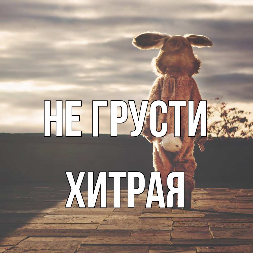 Открытка на каждый день с именем, хитрая Не грусти со спины Прикольная открытка с пожеланием онлайн скачать бесплатно 